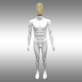 Erkek Tel Kafalı Boy Mankeni