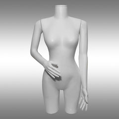 Bayan Paçalı ve Kollu Büst Manken